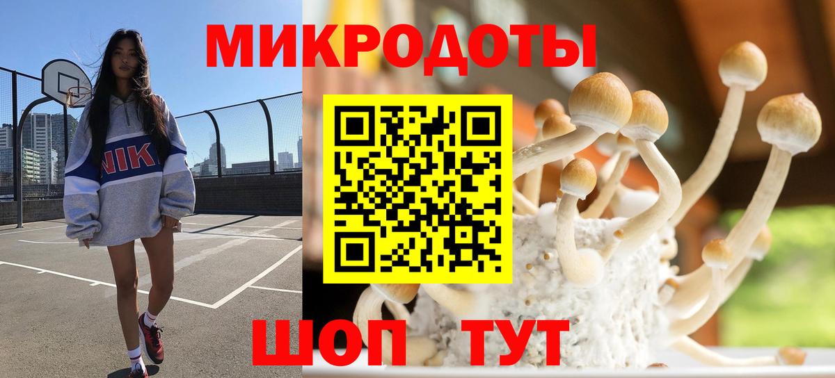 Псилоцибиновые грибы Psilocybine cubensis Апатиты