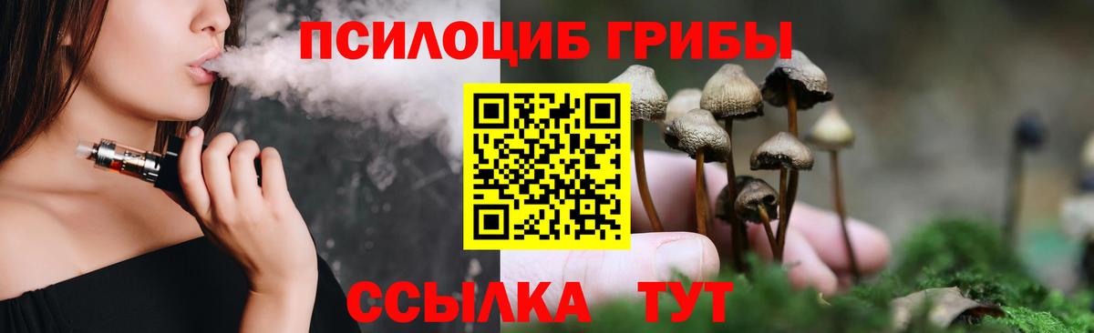 Галлюциногенные грибы Psilocybine cubensis  где можно купить   Апатиты  Псилоцибиновые грибы ЛСД  Вход с VPN 